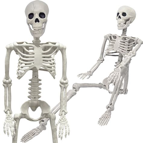 Buy 36 Skeleton Halloween Decorations 3ft Realistic Full Body Movable