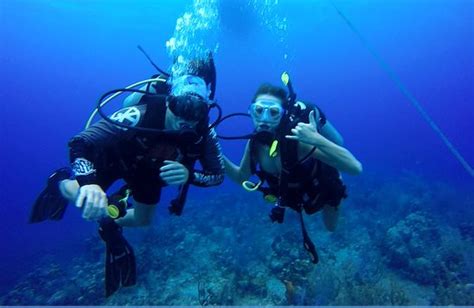 Grand Cayman Eco Divers George Town All You Need To Know Before You Go