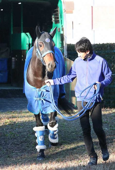 岩本 薫「αの花嫁 共鳴恋情」電子連載 ретвитнул(а) 榎田ユウリ【5/21 オンライントークイベントやるよ!】 オンラインイベント!! 中山競馬場に到着したヴェルトライゼンデ（撮影・村上 大輔 ...