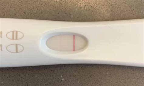 Evaporation Bleeding And Faint Lines Sense Of Pregnancy Tests 2023