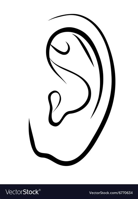 Drawing Human Ear Outline Royalty Free Vector Image