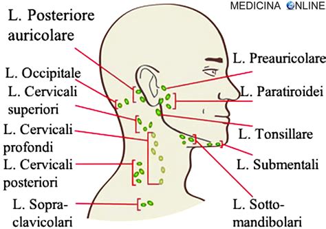 Pin Su Medicina Online