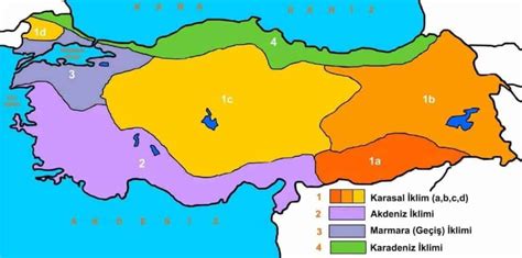 Türkiye de Görülen İklim Tipleri Mühendis Beyinler