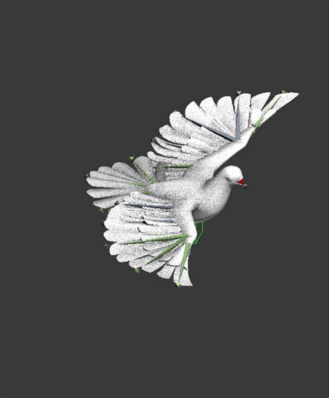 White Pigeon Animated Rig 3d Model 3ds Max Files Free Download Cadnav