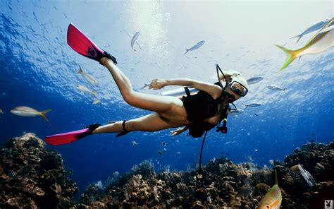 Pin By On Scuba Diving Woman Garden Trowel Garden Tools Underwater