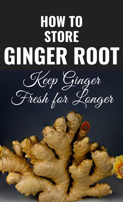 How To Store Ginger Root Keep Ginger Fresh For Longer In 2020 How To