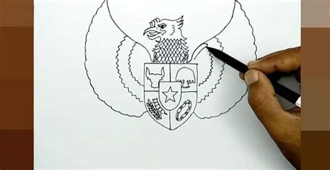 Unduh 400 Gambar Burung Garuda Menggunakan Pensil Hd Gambar