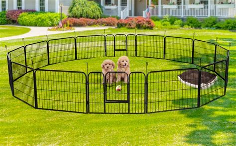 The Best Portable Dog Fence To Buy In January 2024