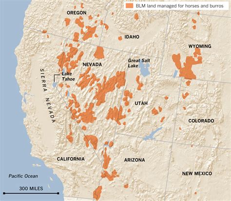 Interactive Graphic The Wests Wild Horses Data Desk Los Angeles Times