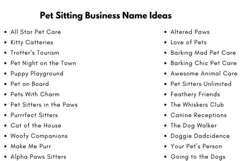 330 Catchy Pet Sitting Business Name Ideas
