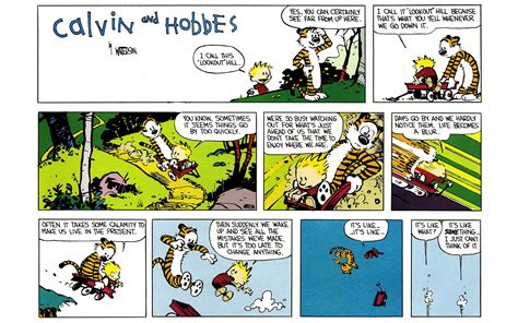 Read Online Calvin And Hobbes Comic Issue 4