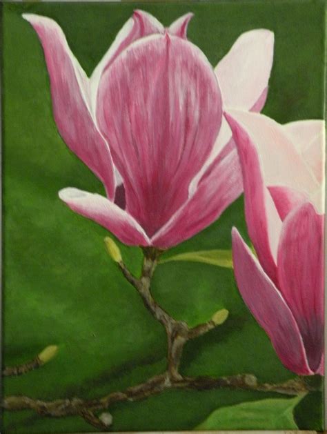 Magnolias By Karen Field Flower Art Art Flowers Magnolias Projects