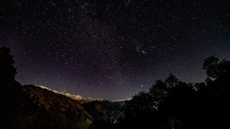 Papel De Parede Céu Estrelado Estrelas Brilho Noite árvores Noite