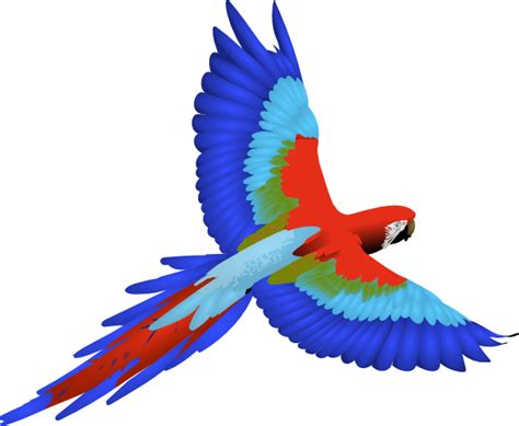 Parrot Clip Art At Vector Clip Art Online Royalty Free