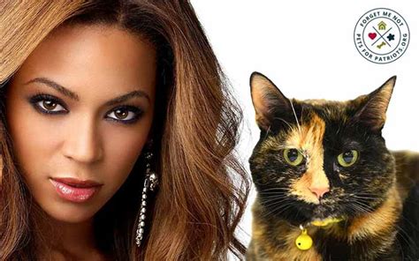 Wondering if it's because of twitter. Beyonce is crazy in love with Penelope! - Pets for Patriots