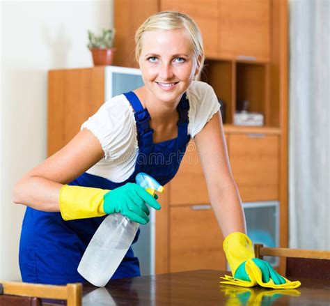 Maid Cleaning Windows Stock Photo Image Of European 46272572