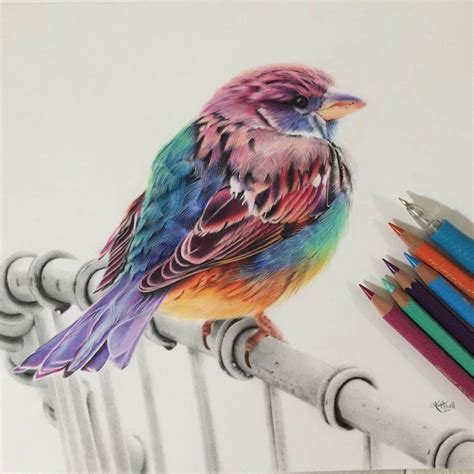 40 Beautiful Bird Drawings And Art Works For Your Inspiration