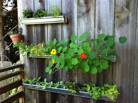 13 Vertical Diy Rain Gutter Garden Ideas For Small Spaces Balcony