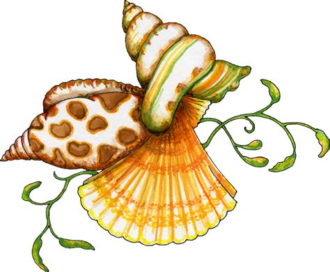 Sea Shells Clipart Clipart Best