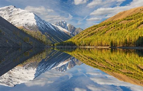 Altai Mountains Russia Siberia Stock Image Image Of Larch Evening