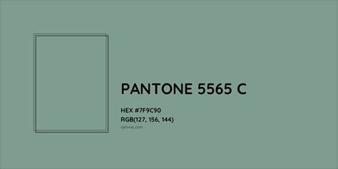 About PANTONE 5565 C Color Color Codes Similar Colors And Paints