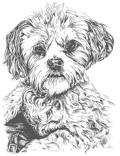 17 Puppy Coloring Pages Realistic Printable Coloring Pages