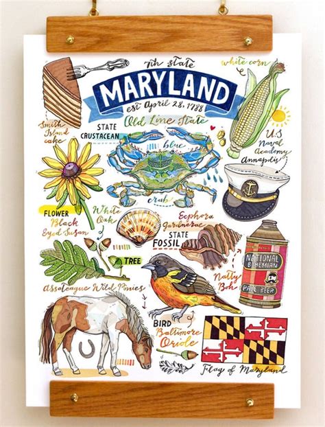 Maryland Print State Symbols Illustration Old Line State
