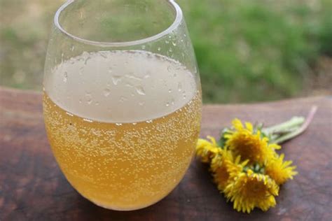 60 Dandelion Recipes ~ Food Drinks Remedies And More