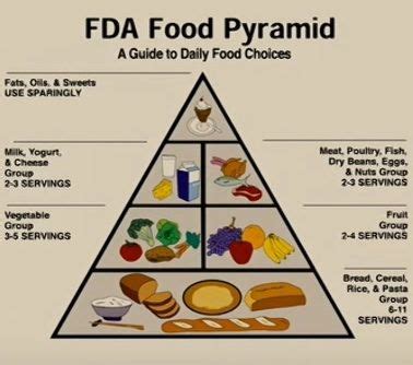 At least 400 g (i.e. Old FDA Food Pyramid | Food pyramid, Dry beans, Fda