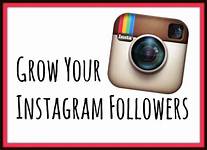 Grow Your Instagram Followers - The TipToe Fairy