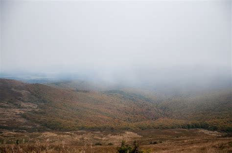 Hilly Valley Covered With Thick Fog · Free Stock Photo