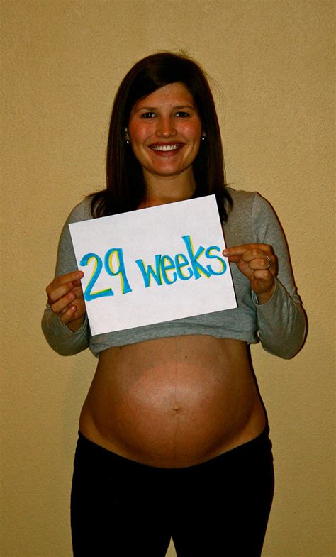 29 Weeks Pregnant The Maternity Gallery