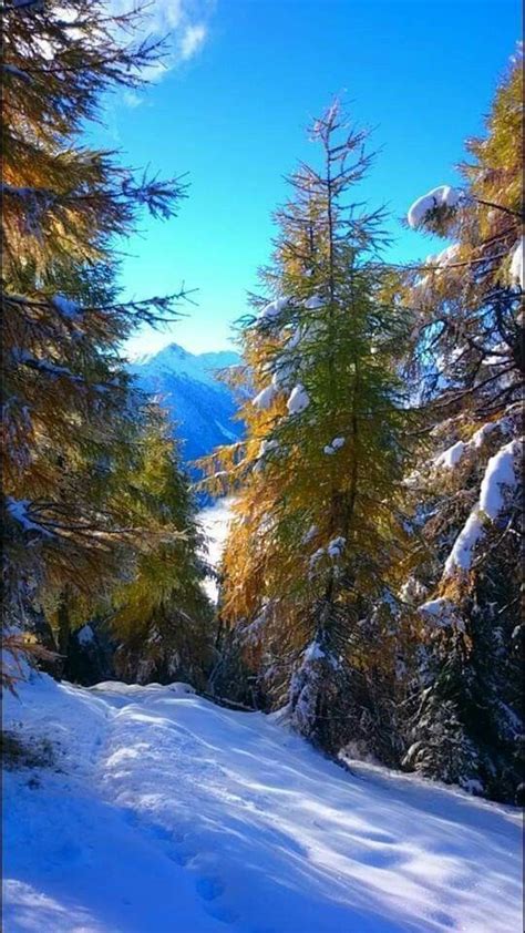 Pin By Mabel Tejera On Postales De Invierno Winter Photography Nature