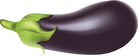 Free Eggplant Aubergine Png Transparent Images Download Free