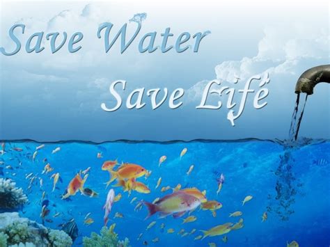 Nslog(save to camera roll as live photo) } else {. Save Water Quotes HD Wallpapers, Images, Photos, Pictures ...