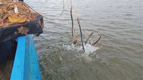 Amazing Sri Lankan🇱🇰 Fishing Traditional Net Fishing Video Youtube