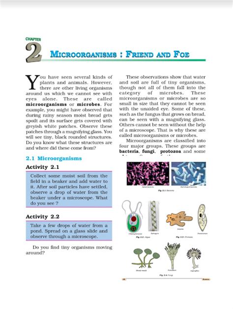 Microorganisms Friend And Foe Class 8 Science C2