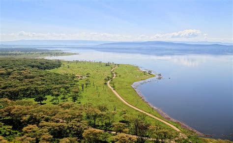 Nakuru is the capital city of nakuru county, kenya. Lake Nakuru - Wikipedia
