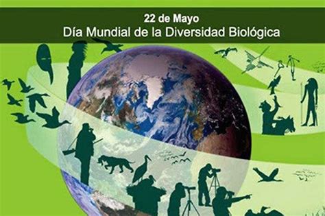 Día Internacional De La Diversidad Biológica Léeme PerÚ