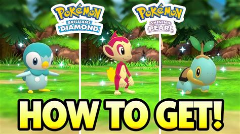 How To Get Shiny Starters In Pokemon Brilliant Diamond And Pokemon