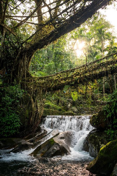 Nongriat And The Living Root Bridges Of Meghalaya Asia Travel Nature