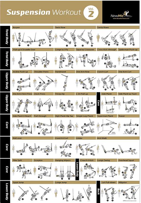 Pack Suspension Workout Posters Volume Laminated Exercise Charts 18 X