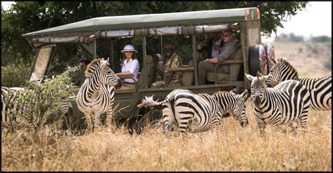 Nairobi Safaris Tour Guide For New Tourists Mack Woods Travels Get