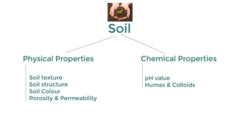 Properties Of Soil Physical Chemical And Biological Upsc