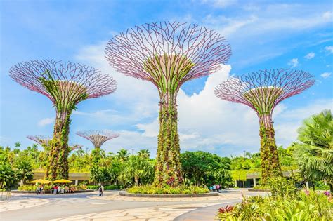 Die Superbäume Von Singapur