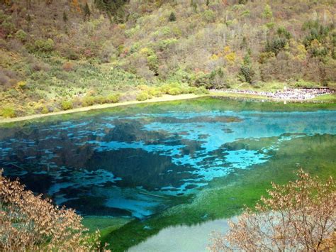 Five Flower Lake At Jiuzhaigou National Park In China National Parks