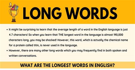 Longest Words In English 19 Unusually Long Words 7esl