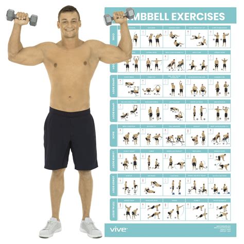 Buy Vive Dumbbell Exercise Home Gym Workout For Upper Lower Full Body Laminated Bodyweight