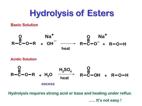 Simple Hydrolysis Reaction