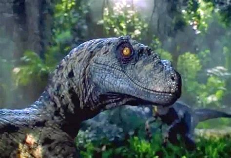 Сэм нилл, лора дерн, джефф голдблюм и др. Scientists just destroyed our dreams of a real Jurassic Park - BGR